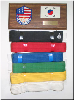 taekwondo america belt display
