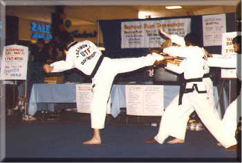 taekwondo board breaking demo